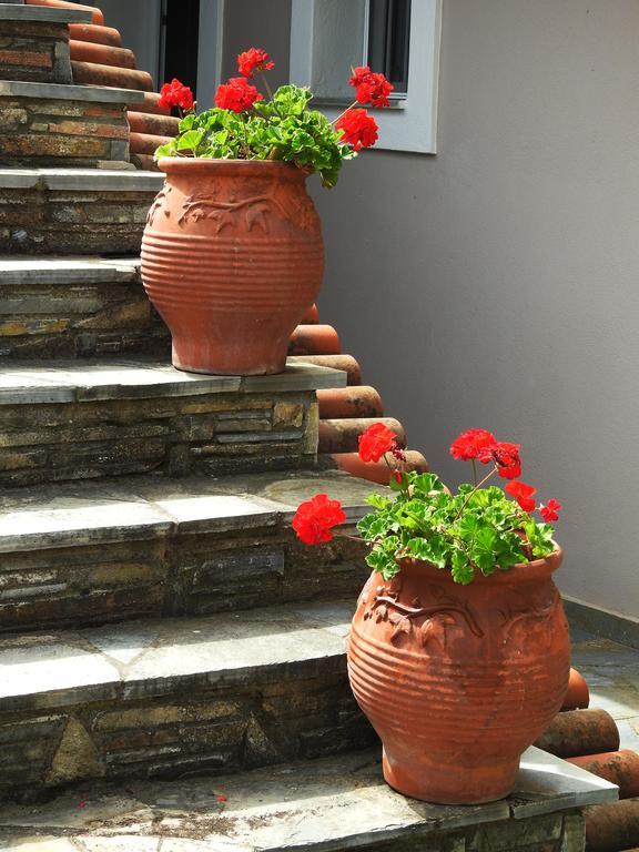 Garden House Apartment Velika  Luaran gambar